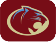 老司机开车APP应用