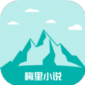 来电语音直播APP应用