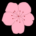WWW,se435·COM网站APPAPP应用